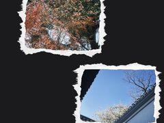 -绮园景区