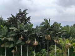 -墨江北回归线标志园