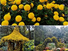 -杭州植物园