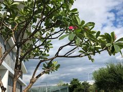 -辽宁省博物馆观众餐厅