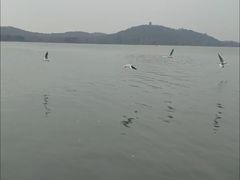 -水上明月·湖景餐厅