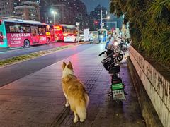 -豆舞咖啡(民乐路店)