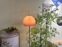 -变美丽半永久纹眉连锁·机器野生眉•洗眉