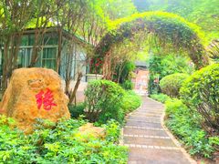 -东风公园