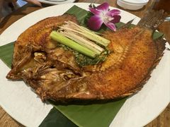-紫滇源云南生态菜(丹凤街店)