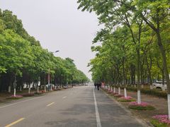 -上海海事大学(临港校区)