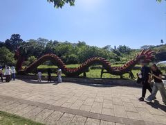 -巢湖姥山岛