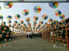 -南汇水蜜桃采摘(大团店)