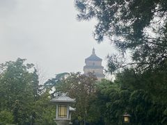 -大慈恩寺(大雁塔)