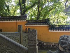 -普陀山风景名胜区-法雨禅寺