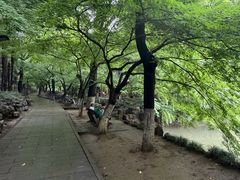 -虞山风景区
