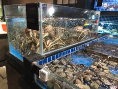 水产区-徐记海鲜(大明宫|北二环店)