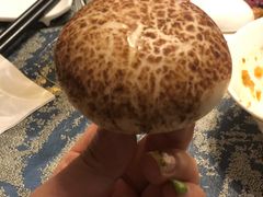 -樽宴酒楼·地道川菜·品质宴请