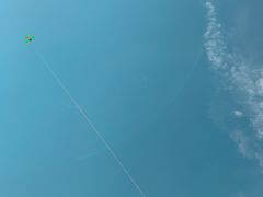 -菊园百果园