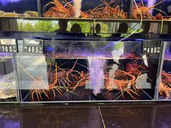 -真浪花园海鲜餐馆