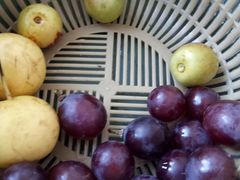 -神农美特好生鲜超市(三墙店)