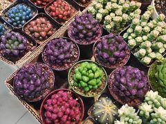 -三旗百汇商品城