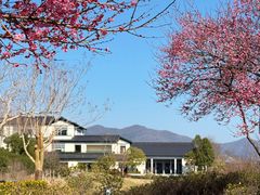 -雅达·阳羡溪山小镇中心