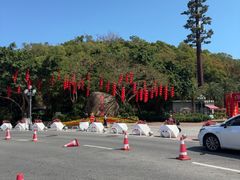 -野狸岛