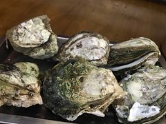 原只蒸生蚝-蚝得喜海鲜(东城店)