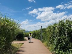 -下渚湖国家湿地公园科普馆
