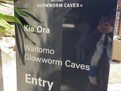 -怀托摩萤火虫洞