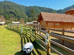 -龙岩森林水乡景区
