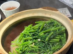 -熠盛粤味·顺德桑拿鸡(永康路店)