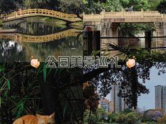 -晓港公园
