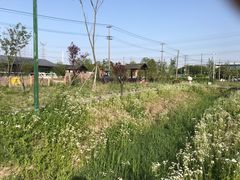 -嘉北郊野公园