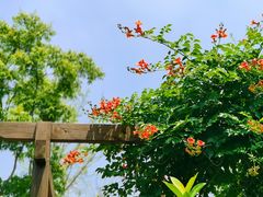 -盐官日光域房车营地·有盐餐厅