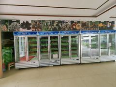 -山菌美食苑(振兴路店)