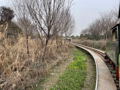 景点-上海月湖雕塑公园