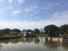-海上田园