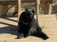 -石家庄市动物园