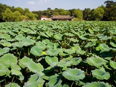-承德避暑山庄景区