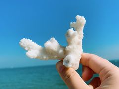-北戴河东海水浴场
