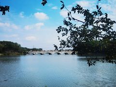 -昆山城市生态森林公园