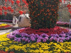 -广东茂名森林公园