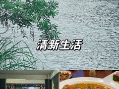 -小竹林农庄