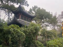 -杭州黄龙洞