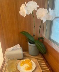 -苑苑vbeauty科技美容SPA