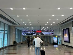 -开罗国际机场