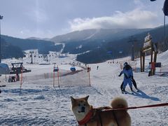 -中旅松花湖滑雪场