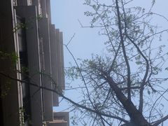 -奎星楼街