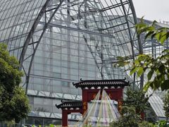 -南山植物园