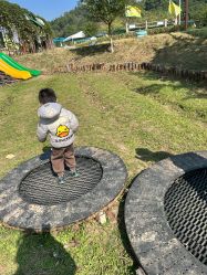 -阿菠萝小猪农场·萌宠乐园·亲子游·研学