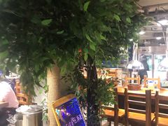 -原始泥炉烤肉(总店)