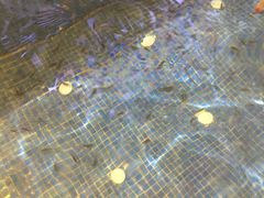 -水晶之星洗浴温泉汗蒸