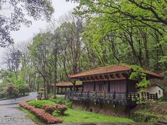 -东湖落雁景区